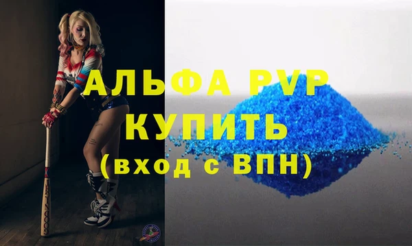 гашик Алексин