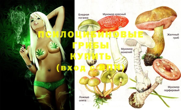 экстази Осинники