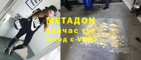 гашик Алексин