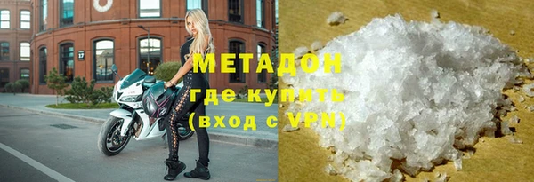 гашик Алексин