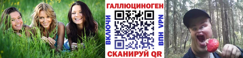 Псилоцибиновые грибы Psilocybe  как найти наркотики  Трёхгорный 